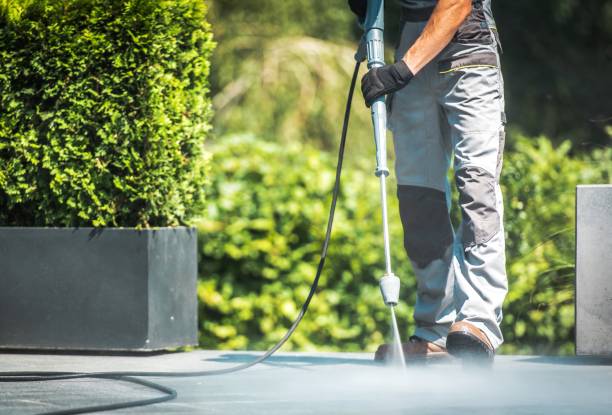 Animal Enclosure Cleaning in Towanda, KS